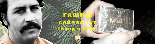 сатива Белокуриха