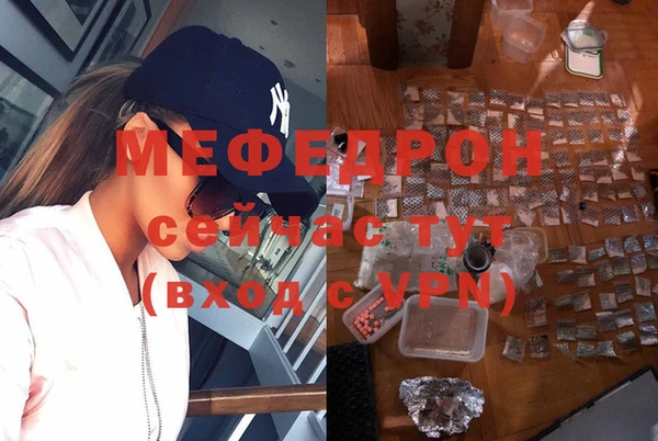 сатива Белокуриха