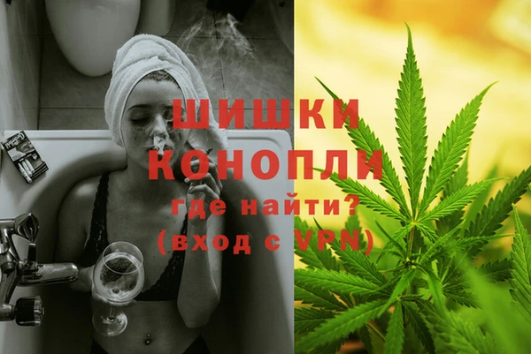 сатива Белокуриха