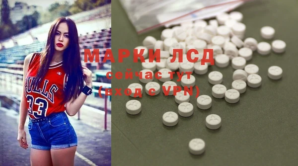 сатива Белокуриха