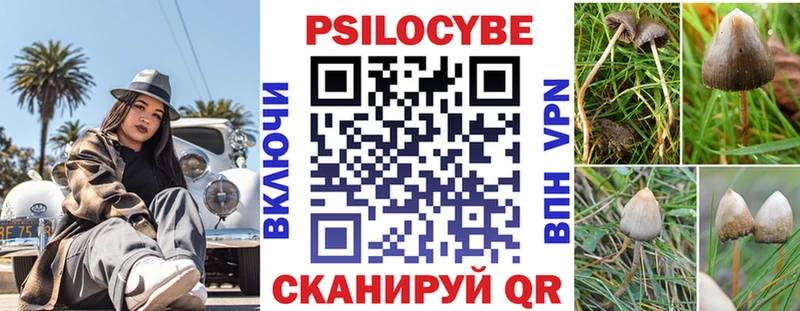 Псилоцибиновые грибы Cubensis Горно-Алтайск