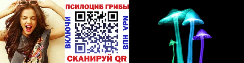 Галлюциногенные грибы MAGIC MUSHROOMS  ОМГ ОМГ tor  Горно-Алтайск 